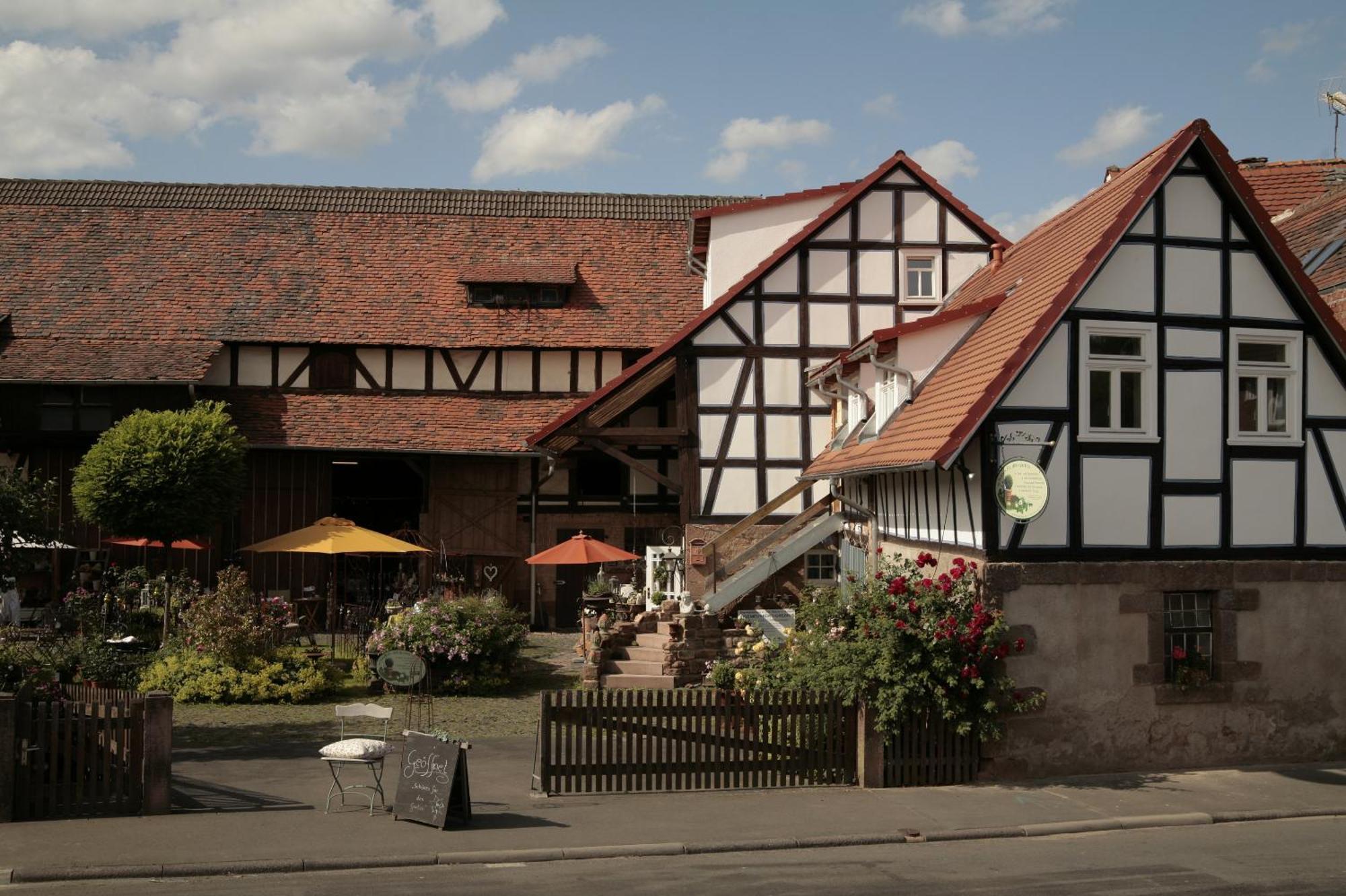 Werts Hof Ferienwohnen Villa Rauschenberg ภายนอก รูปภาพ
